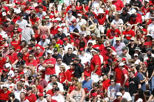 开云 官网 入口-体育焦点人物采访独家发布,焦点访谈体育