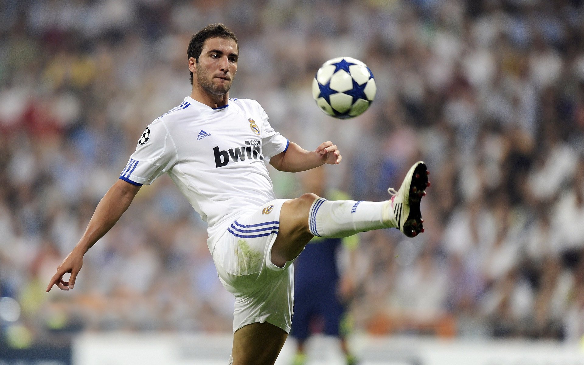 开云·体育官网APP下载-体育焦点报道引发粉丝热议,体育焦点事